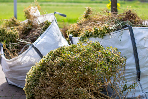 Best Carpet Removal and Disposal  in Allentown, NJ